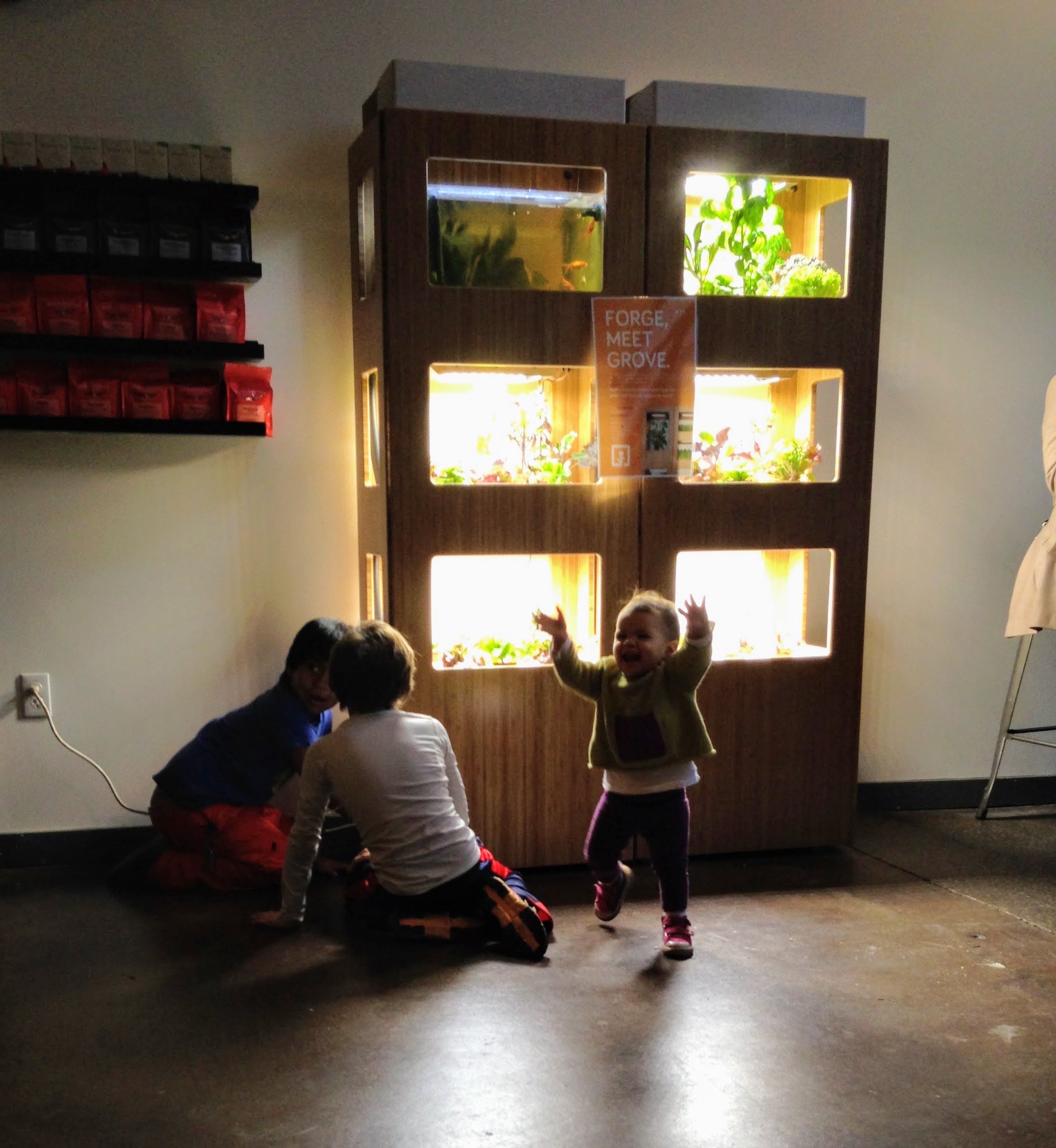 I loved sitting by our early prototypes of the EA Ecosystem in public venues watching how people interacted with them. One learning from doing so was that the aquarium needed to go in the bottom sections of a system so kids can look on more easiliy.