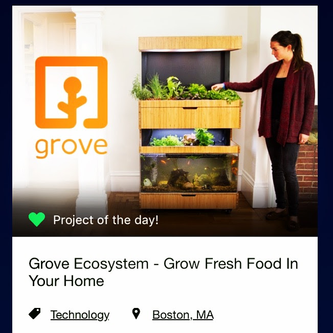 When we were Kickstarter's project of the day